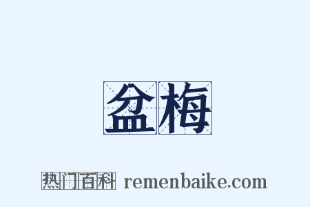 盆梅是什么意思的图片